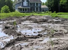 Entitled Neighbor Bur:ied My Pond – I Showed Him Why You Don’t Cross an Older Woman