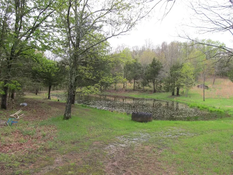 🌄 8± Mountain-Top Acres with Cave, Pond & Prime Outdoor Access – Wharton Creek Area, AR | $80,000