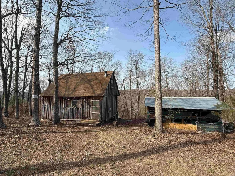 🌲 Secluded 19.48± Acre Ozark Getaway with Fixer-Upper Cabin – Searcy County, AR 🌄