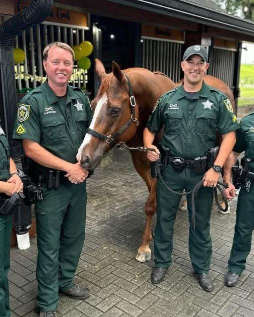 THE DAY MY HORSE SAW ONE OF THE OFFICERS AND WOULD NOT MOVE