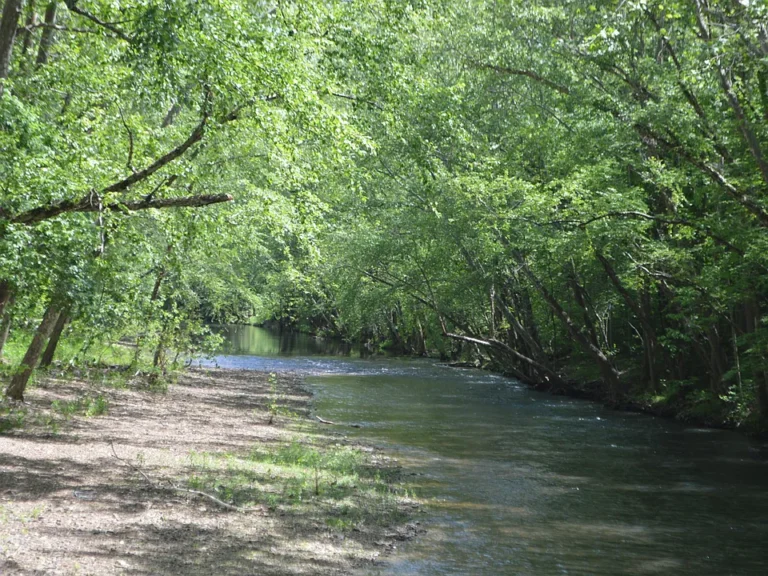 🌿 Creekfront Recreational Property – Foot Access Only – Floodplain Land with Scenic Frontage