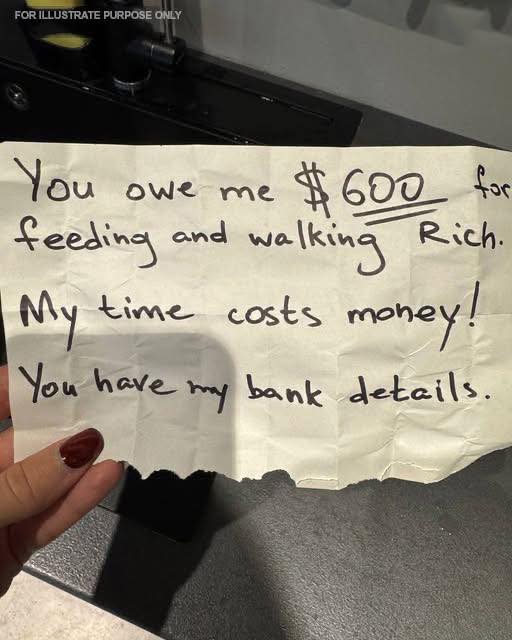 My mother-in-law demanded $600 for walking and feeding our dog while I was in labor. I agreed, but with one condition.
