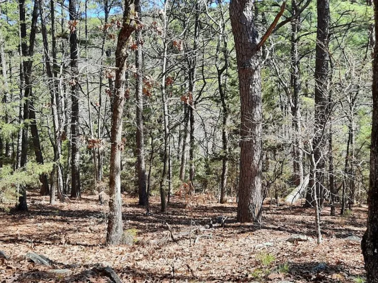 🌲 Scenic 5-Acre Retreat with Buck Creek Frontage – Kiamichi Wilderness, SE Oklahoma 🌲