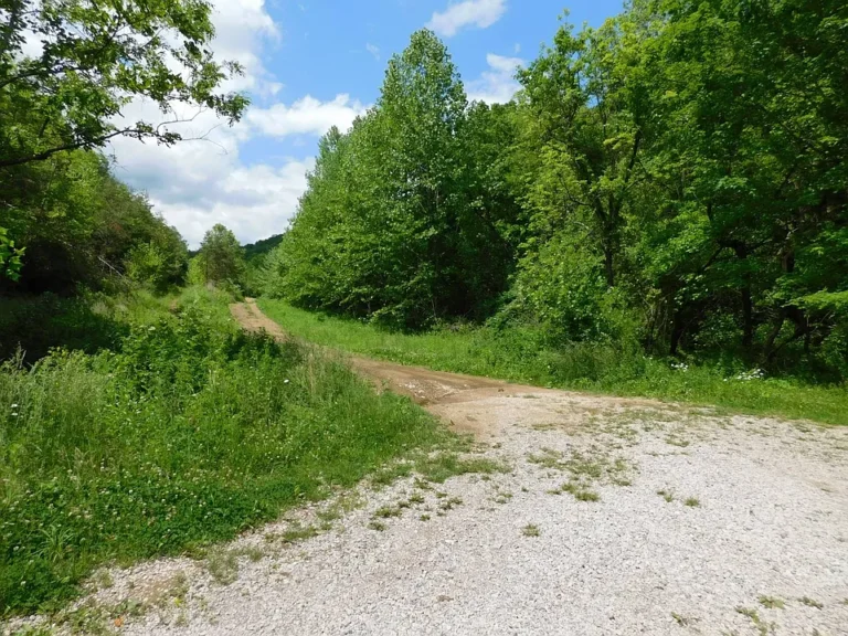 🌲 175± Acres of Prime Hunting & Recreational Land with Pond – Near Paintsville, KY