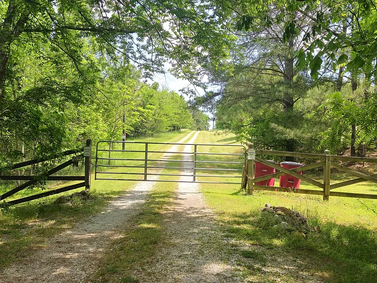 32.67-Acre Secluded Woodland