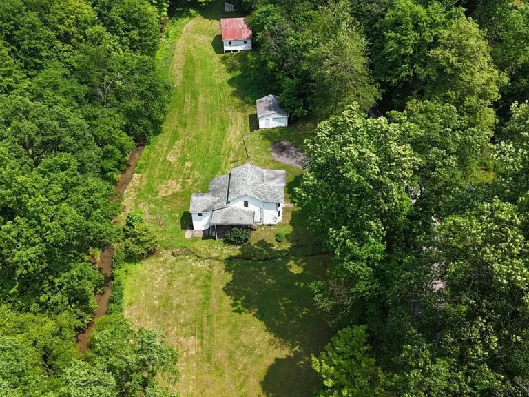 Auction Opportunity – 4-Bedroom Home on 27.5± Acres! $49,000
