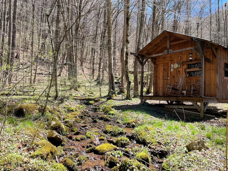 Ultimate Mountain Retreat: 22.69+/- Acres Bordering Pisgah National Forest