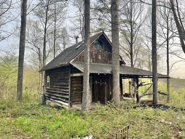 250+/- Acre Roane County, WV Hunter’s Paradise with Cabin – Real Estate Auction