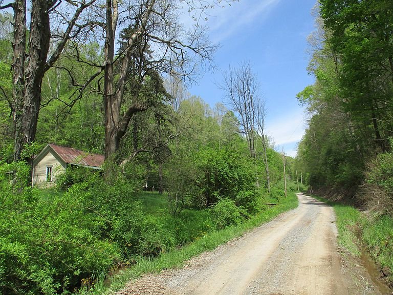 Fixer upper alert! On 134 acres in West Virginia