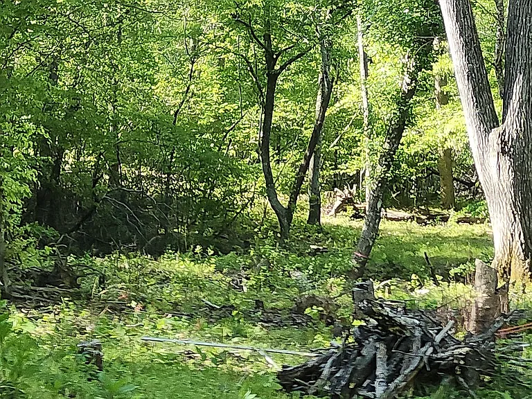 Twelve Acres of Possibility