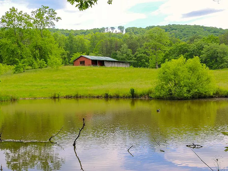 40-Acre Mountain
