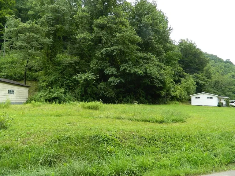 Beautiful Level Lot — Build Your Dream Home with No Restrictions!