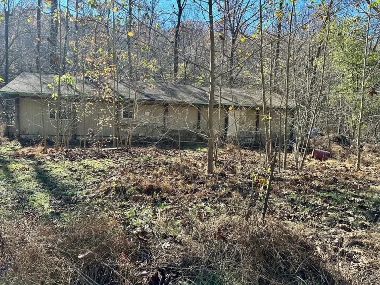 Affordable Acreage with Creek Access – 17.56 Wooded Acres Near Pocahontas!