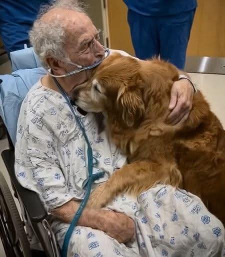He Kept Whispering “Murphy”… But None Of Us Knew Who That Was
