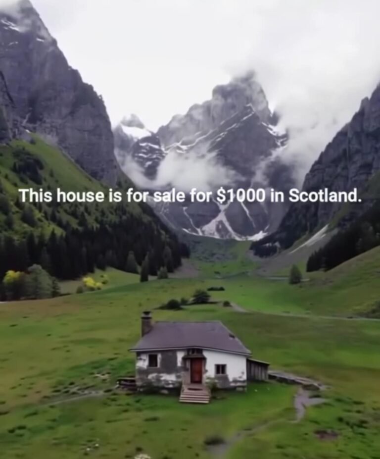 A Rare Opportunity – Cottage for Sale in the Heart of the Highlands. $1,000