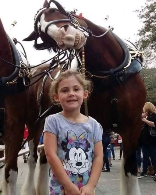 The Horse Who Changed Everything