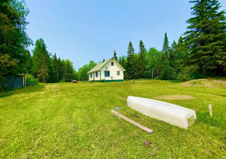 Off-Grid Freedom: A Rare 40-Acre Cabin Retreat for the True Wilderness Enthusiast – $105,900