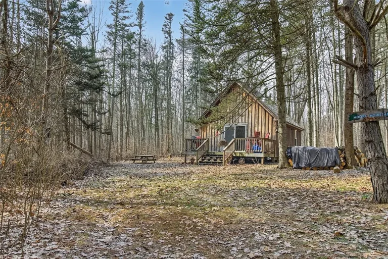 Escape to Nature: A 20-Acre Off-Grid Cabin Retreat in Prattsburgh, New York – $95,900