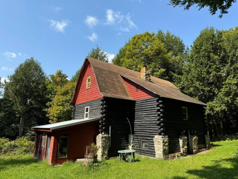 Secluded Off-Grid Cabin Retreat on 30+ Acres Bordering State Forest – $175,000