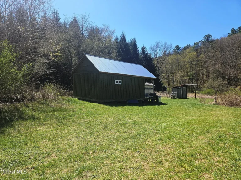 Secluded 50-Acre Hunting Retreat with Rustic Cabin in Middleburgh, NY – $109,000