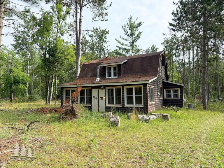 Hidden Woodland Retreat on 20 Acres: A Rustic Michigan Cabin Escape Near Twin Lakes – $165,000