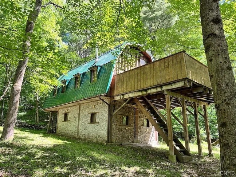 Handcrafted Off-Grid Cabin on 11.8 Acres Offers a Rare Escape Into the Woods of Richburg, New York – $64,900