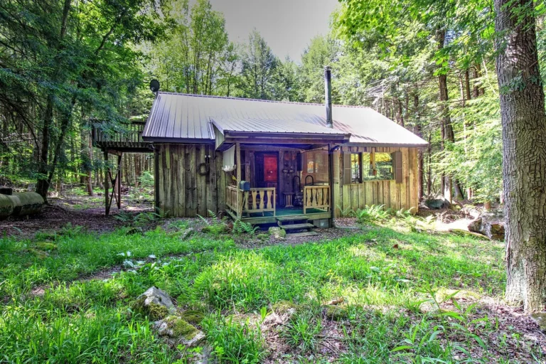 Charming Woodland Cabin Near Allegheny National Forest Offers the Perfect Pennsylvania Escape for Just $90,000