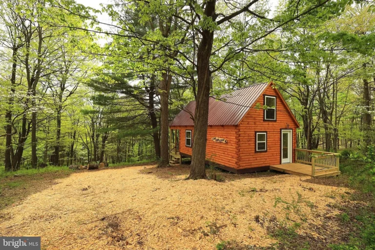 Escape to Nature: Brand-New Off-Grid Cabin on 3.6 Wooded Acres in Port Matilda, Pennsylvania – $149,900
