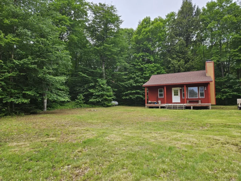 Escape to the Wilderness: Cozy 10-Acre Cabin Retreat in Michigan’s Hulbert Area for Just $89,000